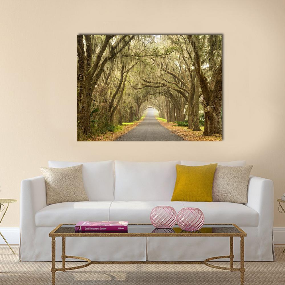Lines Of Oak Trees Canvas Wall Art-1 Piece-Gallery Wrap-36" x 24"-Tiaracle