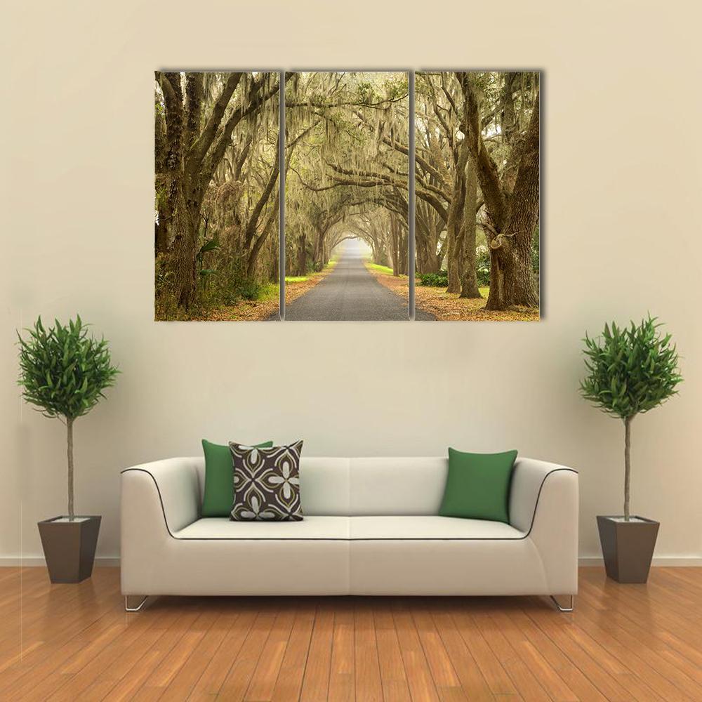 Lines Of Oak Trees Canvas Wall Art-3 Horizontal-Gallery Wrap-25" x 16"-Tiaracle