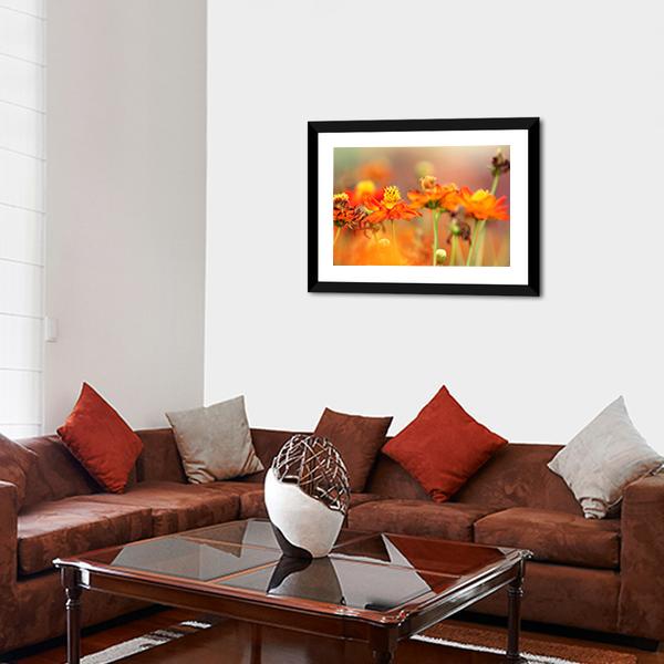 Orange Cosmos Flower Canvas Wall Art-3 Horizontal-Gallery Wrap-25" x 16"-Tiaracle