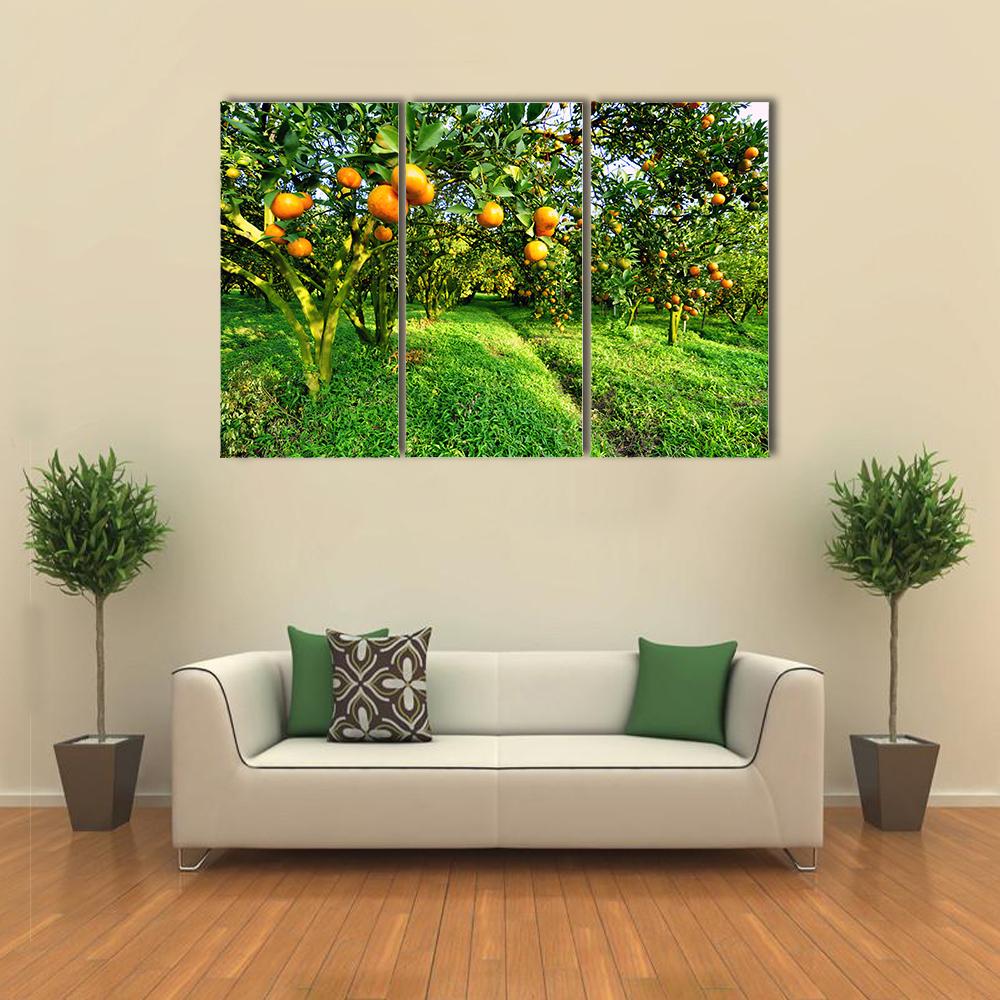Orange Tree Canvas Wall Art-3 Horizontal-Gallery Wrap-25" x 16"-Tiaracle