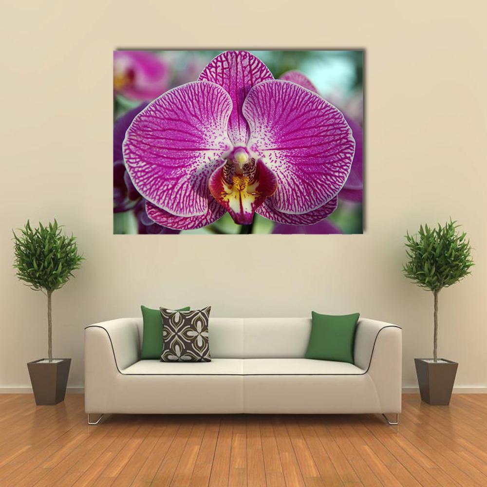 Orchid Flower Canvas Wall Art-1 Piece-Gallery Wrap-48" x 32"-Tiaracle