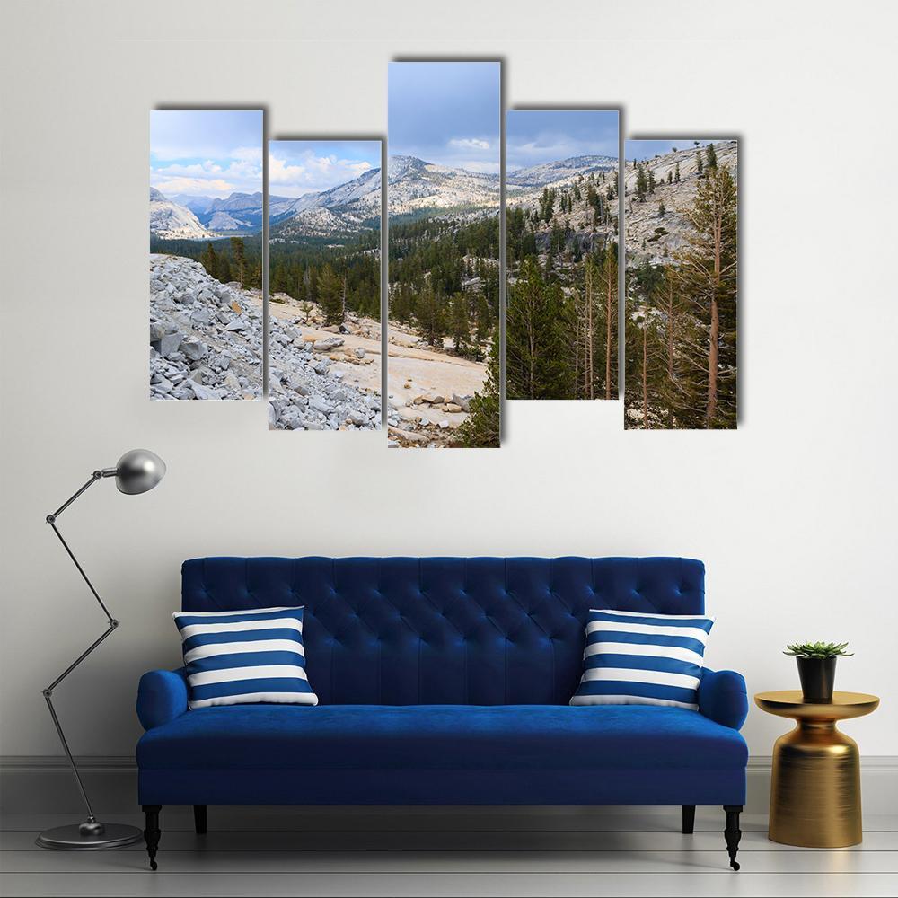Tioga Road In Yosemite Canvas Wall Art-5 Pop-Gallery Wrap-47" x 32"-Tiaracle