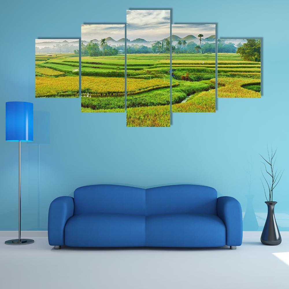 The Paddy Rice Field Canvas Wall Art-5 Star-Gallery Wrap-62" x 32"-Tiaracle