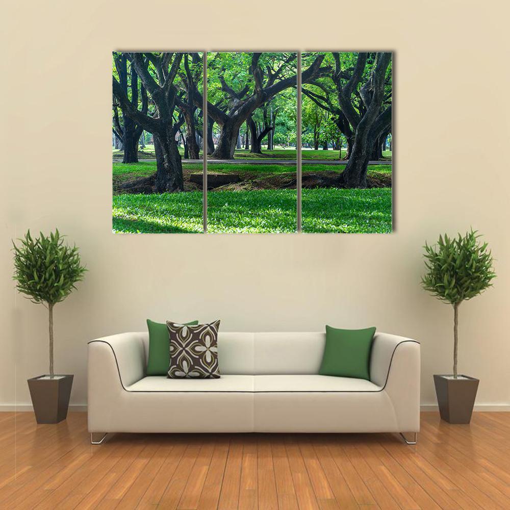 Park At Sukhothai In Thailand Canvas Wall Art-3 Horizontal-Gallery Wrap-37" x 24"-Tiaracle