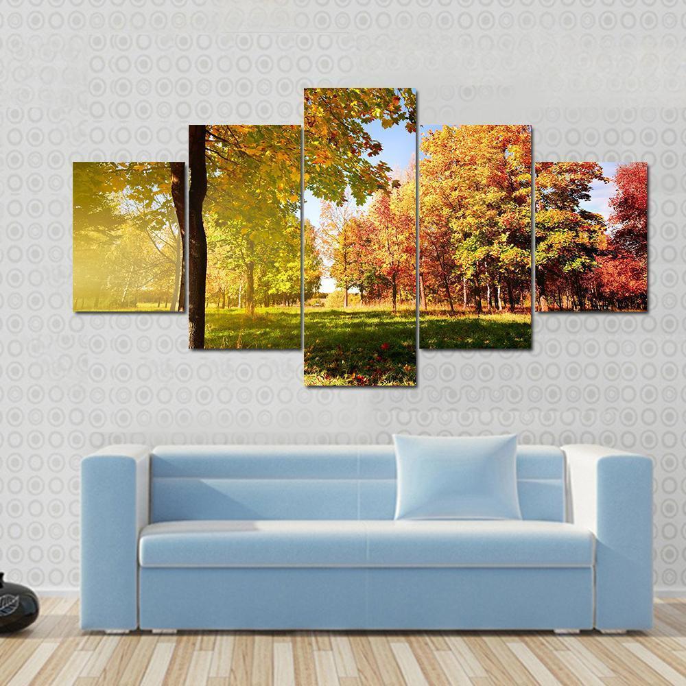 Park View In Autumn Canvas Wall Art-5 Star-Gallery Wrap-62" x 32"-Tiaracle