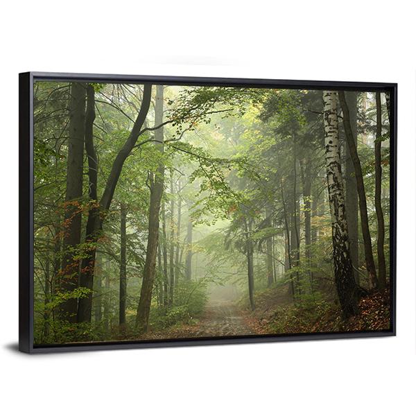 Path Through The Beech Forest In Foggy Weather Canvas Wall Art-3 Horizontal-Gallery Wrap-25" x 16"-Tiaracle