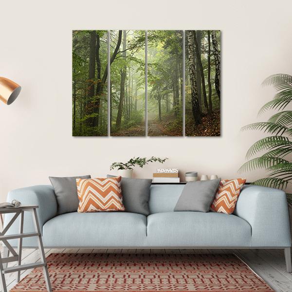 Path Through The Beech Forest In Foggy Weather Canvas Wall Art-4 Horizontal-Gallery Wrap-34" x 24"-Tiaracle