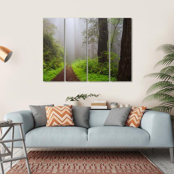 Path Through the Redwoods Forest Canvas Wall Art-4 Horizontal-Gallery Wrap-34" x 24"-Tiaracle
