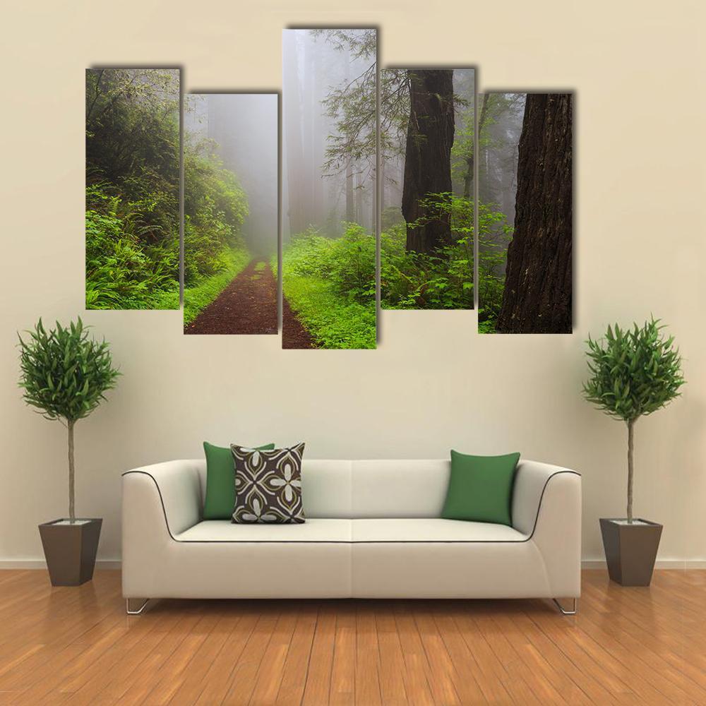 Path Through the Redwoods Forest Canvas Wall Art-5 Pop-Gallery Wrap-32" x 21"-Tiaracle