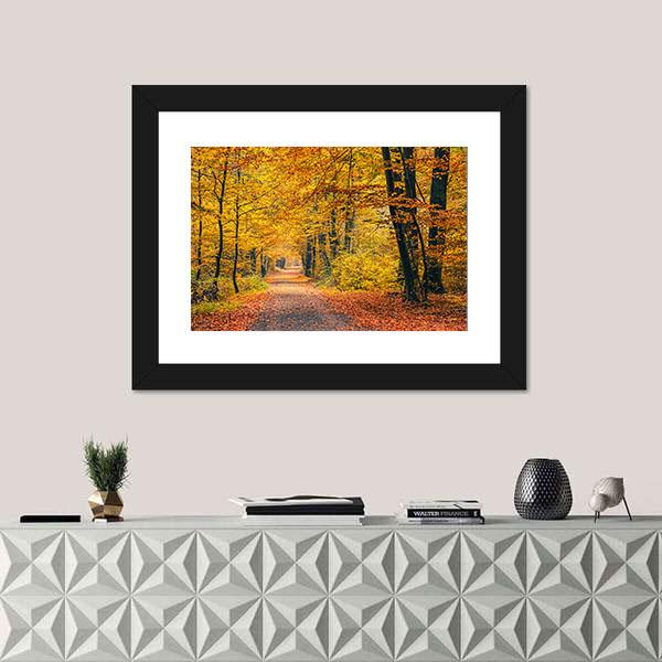 Pathway In The Autumn Forest Canvas Wall Art-1 Piece-Framed Print-20" x 16"-Tiaracle