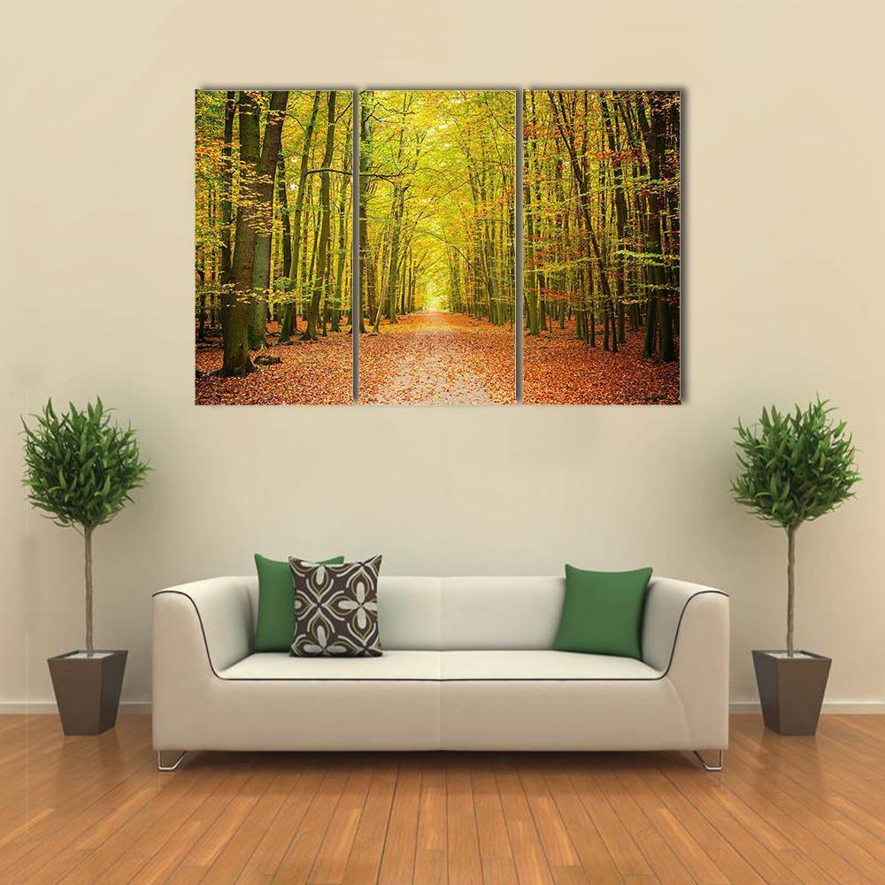 Pathway In The Autumn Forest Canvas Wall Art-3 Horizontal-Gallery Wrap-37" x 24"-Tiaracle