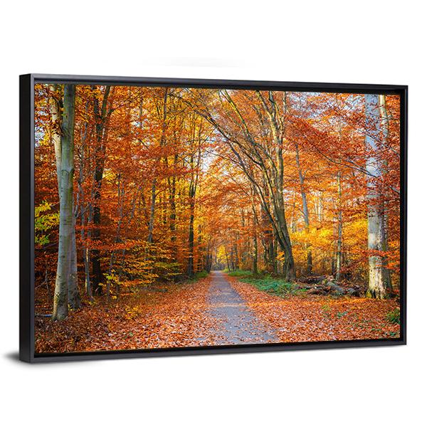 Pathway Through The Autumn Forest Canvas Wall Art-3 Horizontal-Gallery Wrap-25" x 16"-Tiaracle