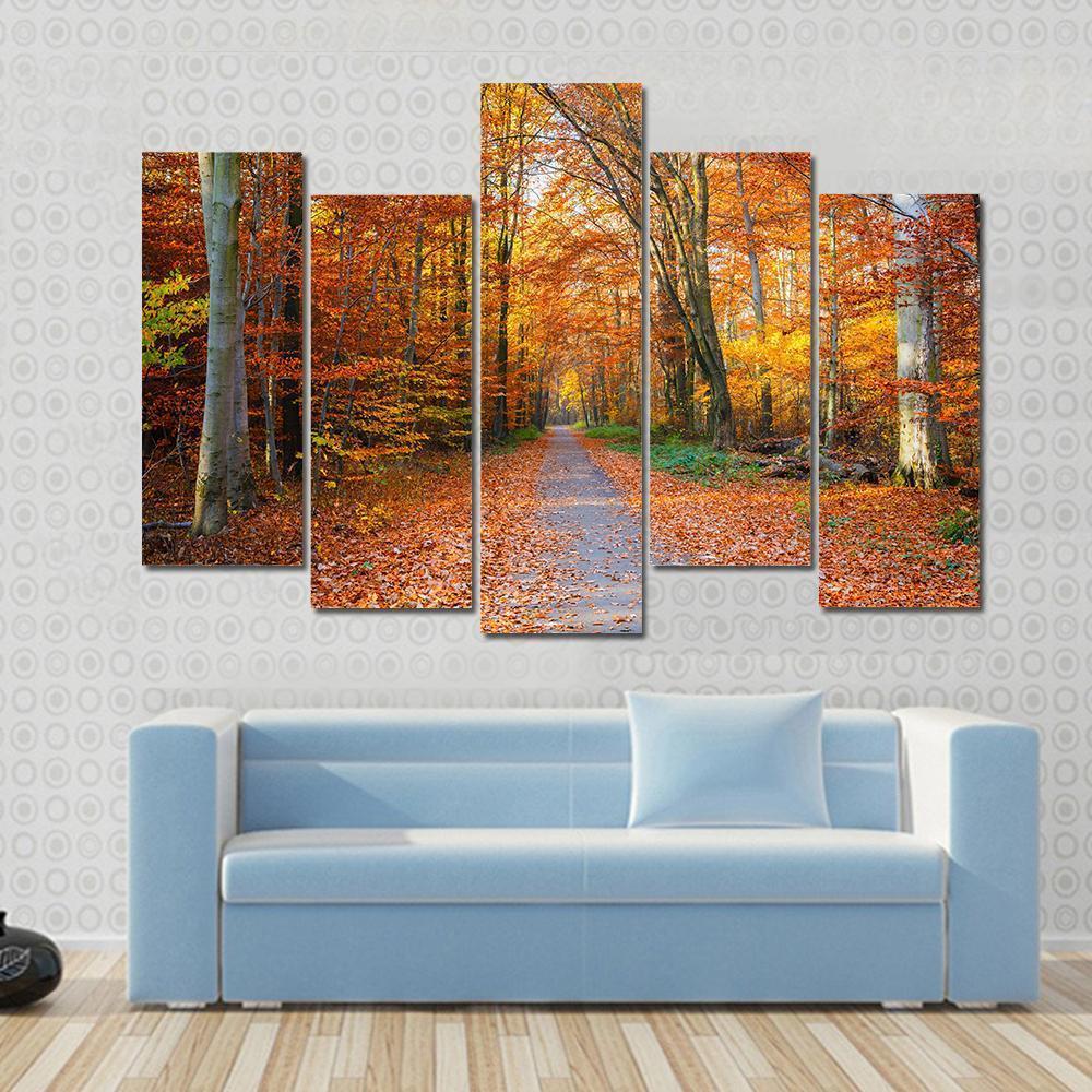 Pathway Through The Autumn Forest Canvas Wall Art-5 Pop-Gallery Wrap-47" x 32"-Tiaracle
