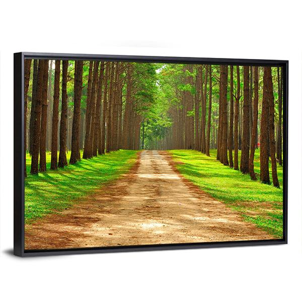 Pine Forest In Thailand Canvas Wall Art-3 Horizontal-Gallery Wrap-25" x 16"-Tiaracle