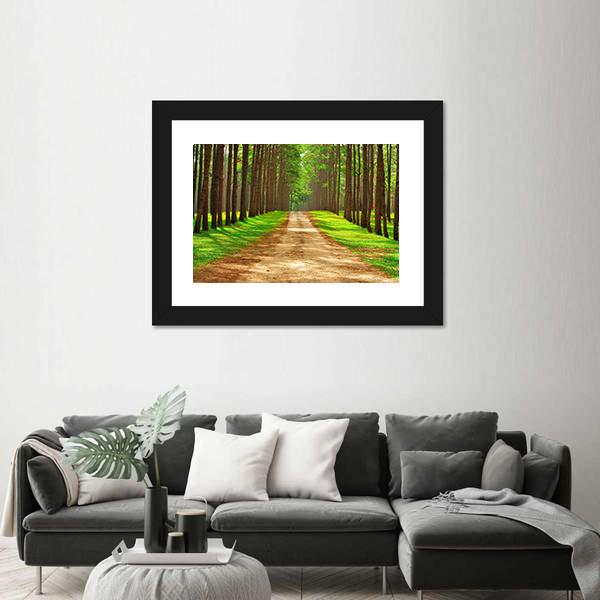 Pine Forest In Thailand Canvas Wall Art-3 Horizontal-Gallery Wrap-25" x 16"-Tiaracle