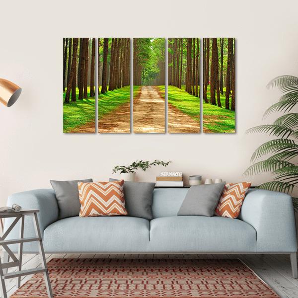 Pine Forest In Thailand Canvas Wall Art-5 Horizontal-Gallery Wrap-22" x 12"-Tiaracle