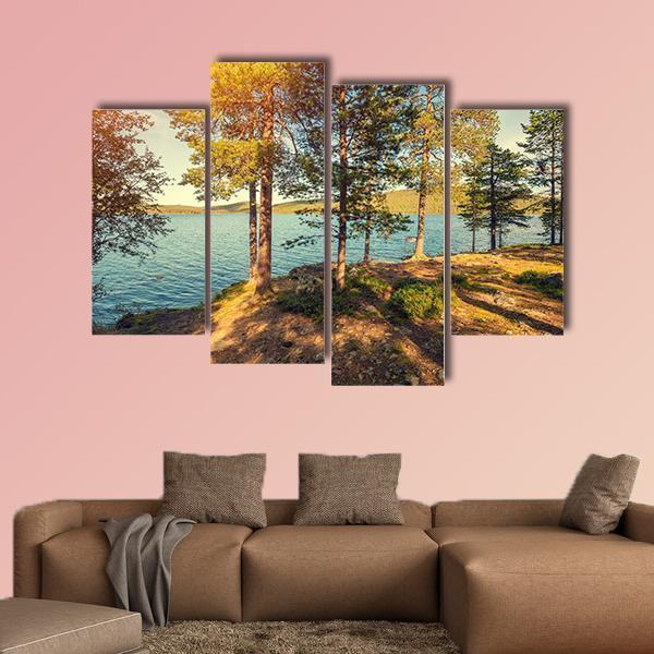 Pine Trees Near Sea In Finland Canvas Wall Art-4 Pop-Gallery Wrap-50" x 32"-Tiaracle