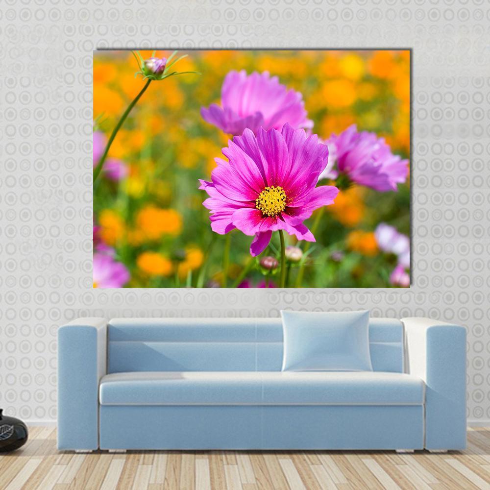 Pink Cosmos In The Flower Fields Canvas Wall Art-1 Piece-Gallery Wrap-48" x 32"-Tiaracle