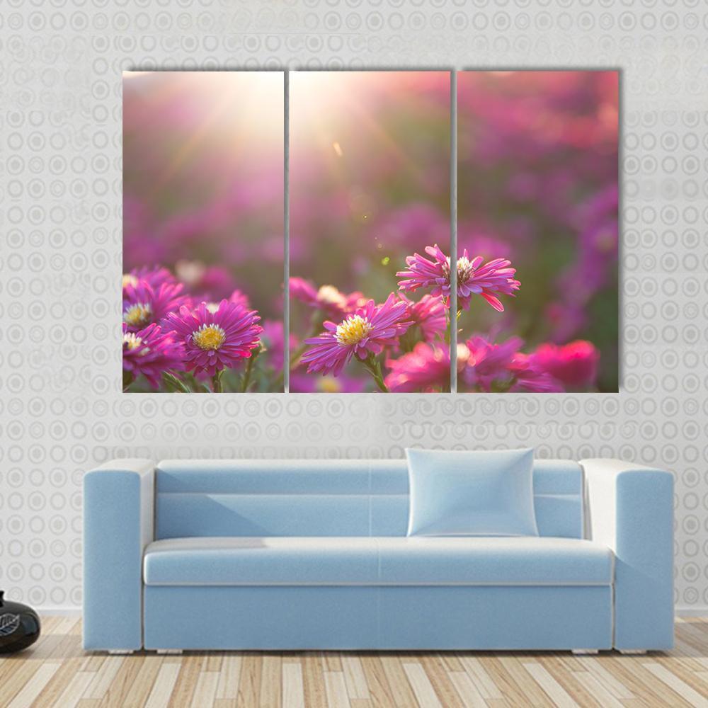 Pink Daisy Canvas Wall Art-3 Horizontal-Gallery Wrap-37" x 24"-Tiaracle