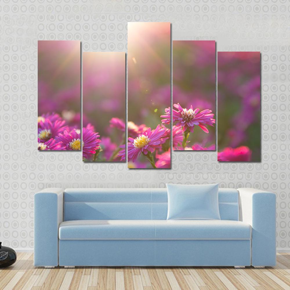 Pink Daisy Canvas Wall Art-5 Pop-Gallery Wrap-47" x 32"-Tiaracle