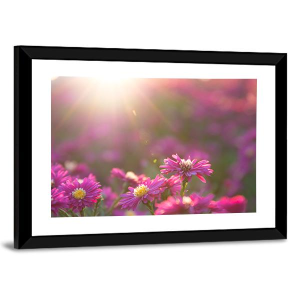 Pink Daisy Canvas Wall Art-3 Horizontal-Gallery Wrap-25" x 16"-Tiaracle