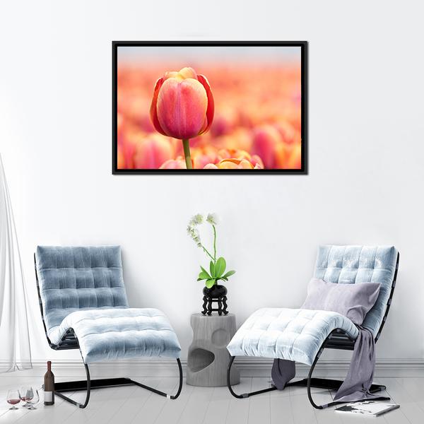 Pink Tulip Canvas Wall Art-1 Piece-Floating Frame-24" x 16"-Tiaracle