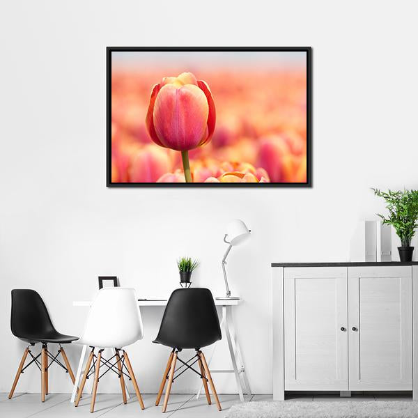 Pink Tulip Canvas Wall Art-3 Horizontal-Gallery Wrap-25" x 16"-Tiaracle
