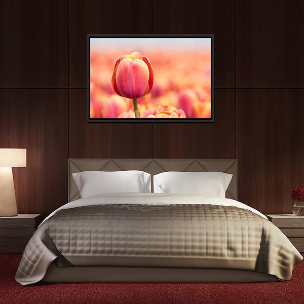 Pink Tulip Canvas Wall Art-3 Horizontal-Gallery Wrap-25" x 16"-Tiaracle