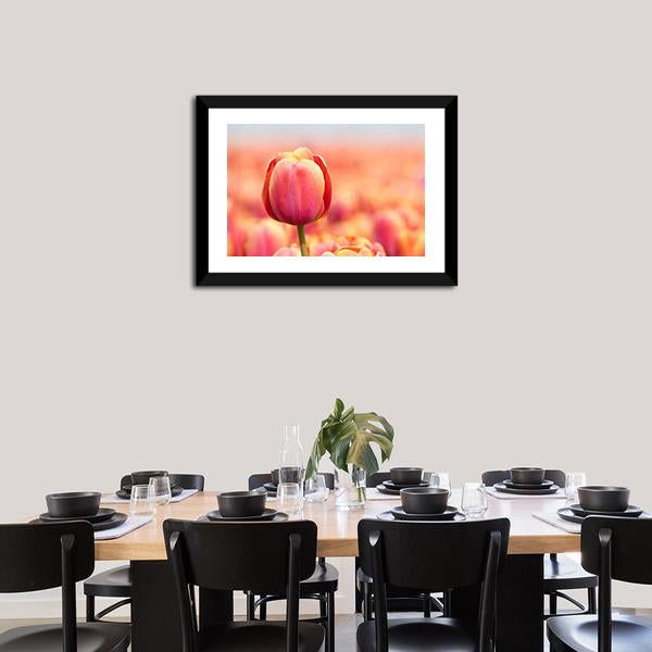 Pink Tulip Canvas Wall Art-1 Piece-Framed Print-20" x 16"-Tiaracle