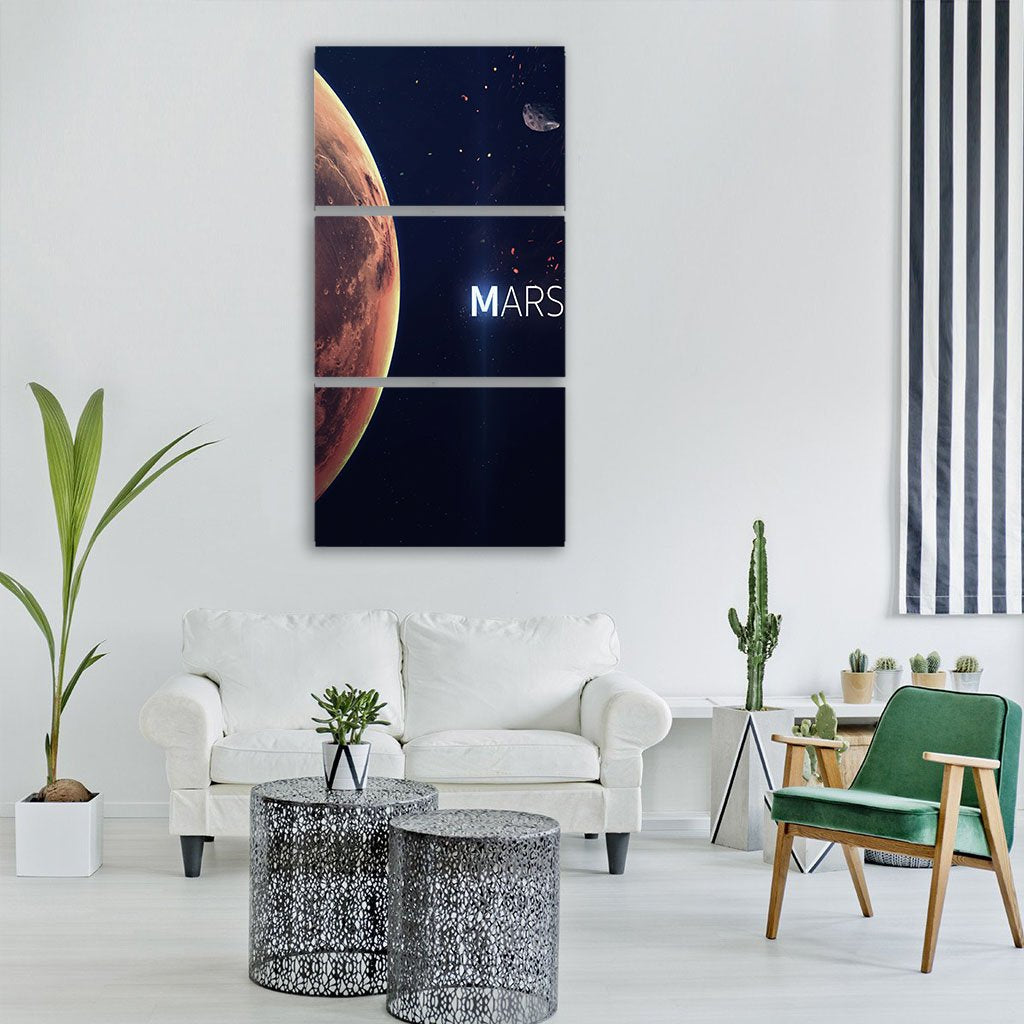 Planet Mars From Space Vertical Canvas Wall Art-3 Vertical-Gallery Wrap-12" x 25"-Tiaracle