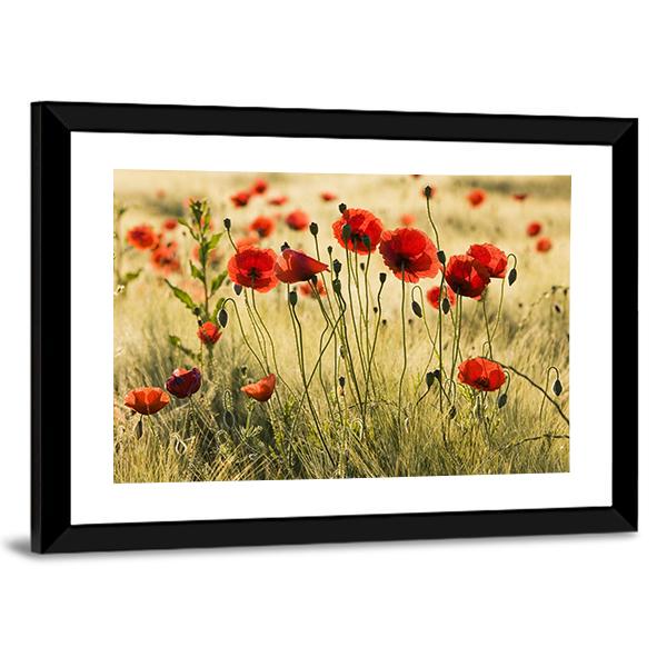 Poppy Flower Field Canvas Wall Art-3 Horizontal-Gallery Wrap-25" x 16"-Tiaracle