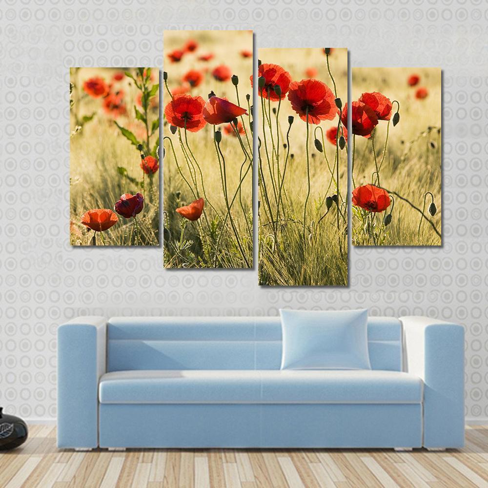 Poppy Flower Field Canvas Wall Art-4 Pop-Gallery Wrap-50" x 32"-Tiaracle