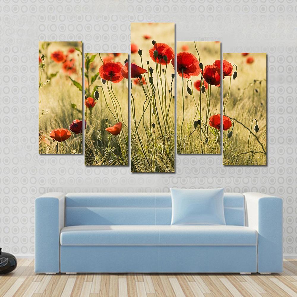Poppy Flower Field Canvas Wall Art-5 Pop-Gallery Wrap-47" x 32"-Tiaracle