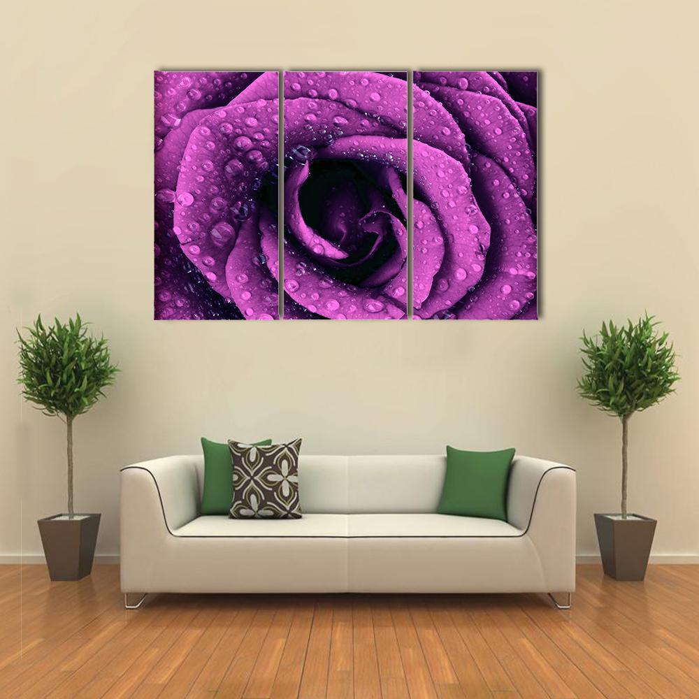 Purple Rose With Dew Drops Canvas Wall Art-3 Horizontal-Gallery Wrap-37" x 24"-Tiaracle