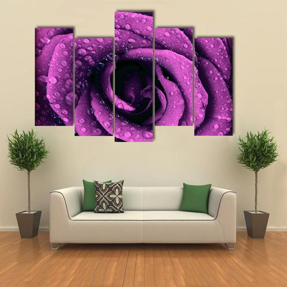 Purple Rose With Dew Drops Canvas Wall Art-5 Pop-Gallery Wrap-47" x 32"-Tiaracle