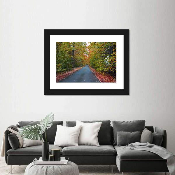 Quiet Leafy Country Lane Canvas Wall Art-3 Horizontal-Gallery Wrap-25" x 16"-Tiaracle