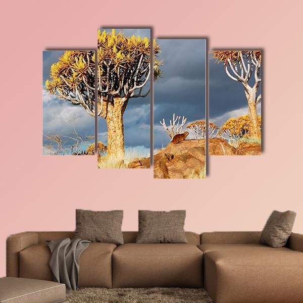 Quiver Tree Forest Landscape In South Africa Canvas Wall Art-4 Pop-Gallery Wrap-50" x 32"-Tiaracle