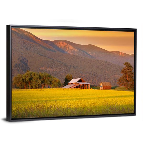 Rapeseed Farm And Barn In Evening Sun Light Canvas Wall Art-3 Horizontal-Gallery Wrap-25" x 16"-Tiaracle