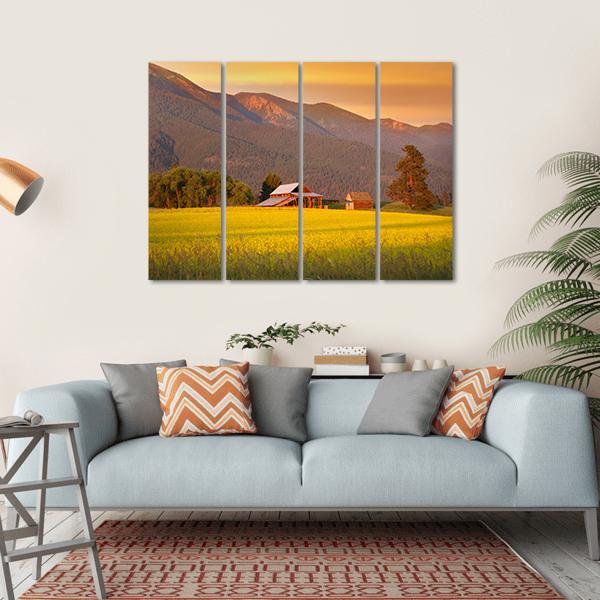 Rapeseed Farm And Barn In Evening Sun Light Canvas Wall Art-4 Horizontal-Gallery Wrap-34" x 24"-Tiaracle
