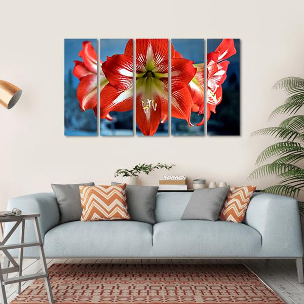 Red Amarillis Flower Canvas Wall Art-5 Horizontal-Gallery Wrap-22" x 12"-Tiaracle