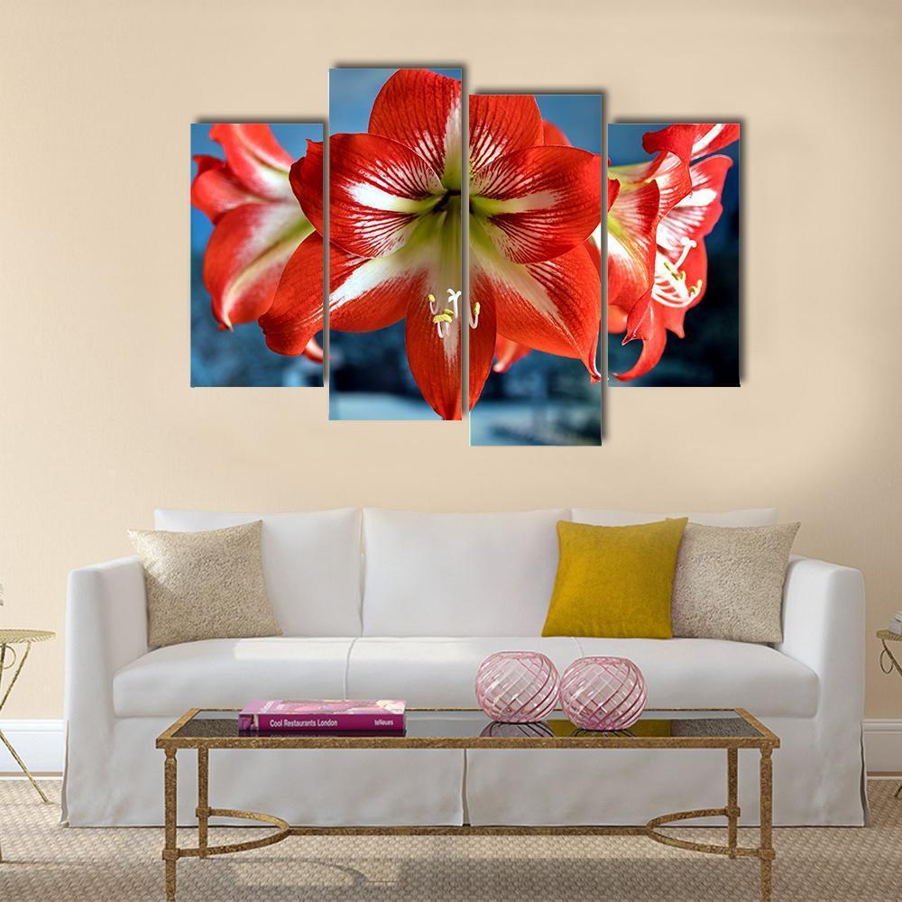 Red Amarillis Flower Canvas Wall Art-4 Pop-Gallery Wrap-50" x 32"-Tiaracle