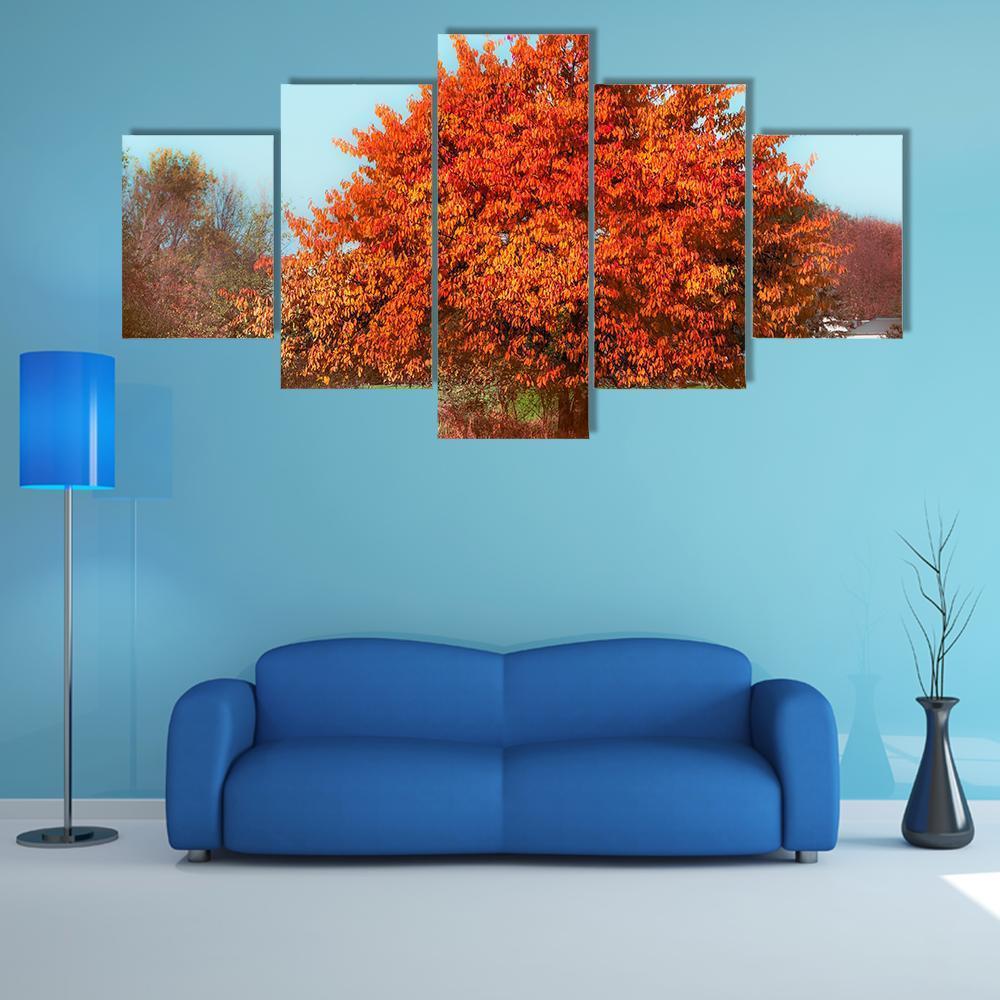 Red Autumn Foliage Canvas Wall Art-5 Star-Gallery Wrap-62" x 32"-Tiaracle