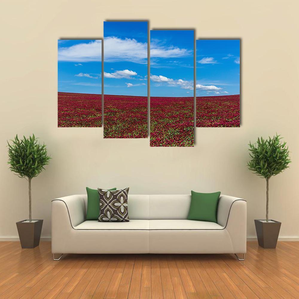 Red Clover Field And Blue Sky Canvas Wall Art-4 Pop-Gallery Wrap-50" x 32"-Tiaracle