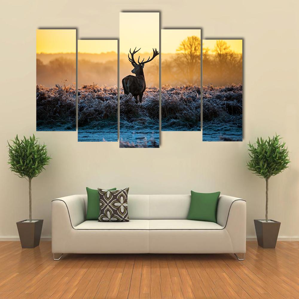 Red Deer in Morning Sun Canvas Wall Art-5 Pop-Gallery Wrap-32" x 21"-Tiaracle