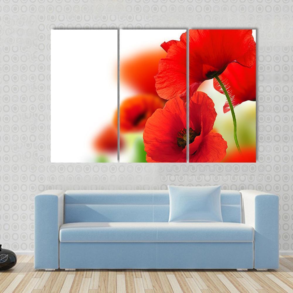 Red Poppies Canvas Wall Art-3 Horizontal-Gallery Wrap-37" x 24"-Tiaracle