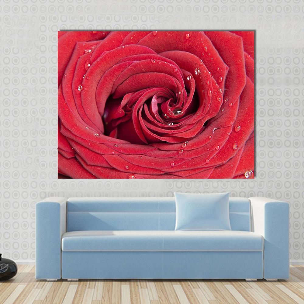 Red Rose Close Up Canvas Wall Art-1 Piece-Gallery Wrap-48" x 32"-Tiaracle