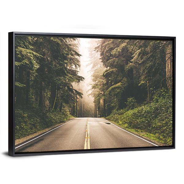 Redwood Forest Highway In California Canvas Wall Art-5 Horizontal-Gallery Wrap-22" x 12"-Tiaracle