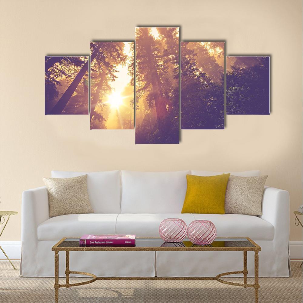 Redwood Forest In Warm Vintage Canvas Wall Art-5 Star-Gallery Wrap-42" x 21"-Tiaracle