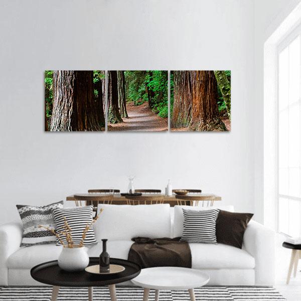 Redwoods Forest Rotorua Panoramic Canvas Wall Art-3 Piece-25" x 08"-Tiaracle