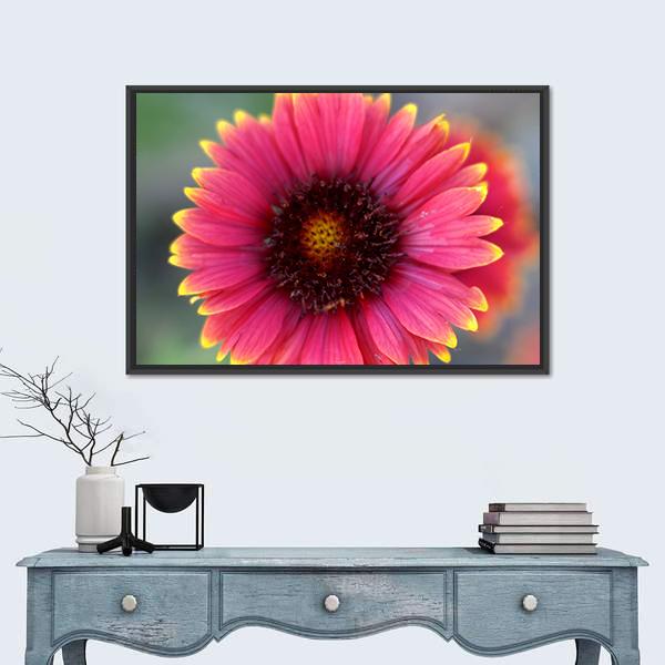 Ripe Red Flower Canvas Wall Art-1 Piece-Floating Frame-24" x 16"-Tiaracle